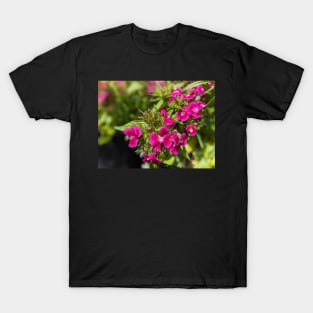 Pink Spiky Flowers 2 T-Shirt